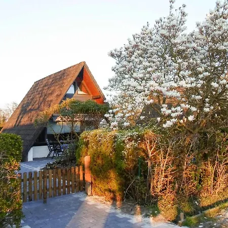 度假居 Cosy Holiday In